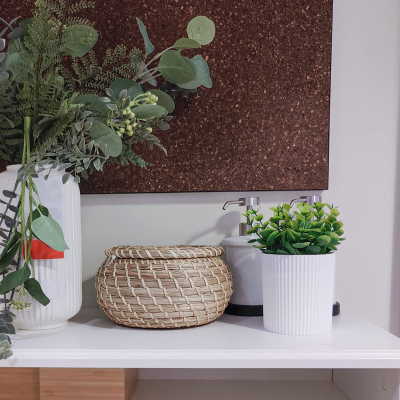 [Australia] - Denture Bath, Invisible Denture Case Designed As Artificial Eucalyptus Potted Plants, Denture Cup With Strainer For Retainer, Mouth Guard & Dentures, Perfect For Home Decoration… WHITE 
