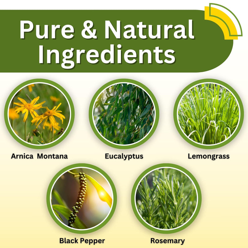 [Australia] - Relief Arnica Massage Oil – Great for Sports & Athletic Therapeutic Massage – All Natural - Arnica Montana for Sore Muscle Relief. Contains Sweet Almond, Jojoba, Grapeseed & Essential Oils 8oz 8 Fl Oz (Pack of 1) 