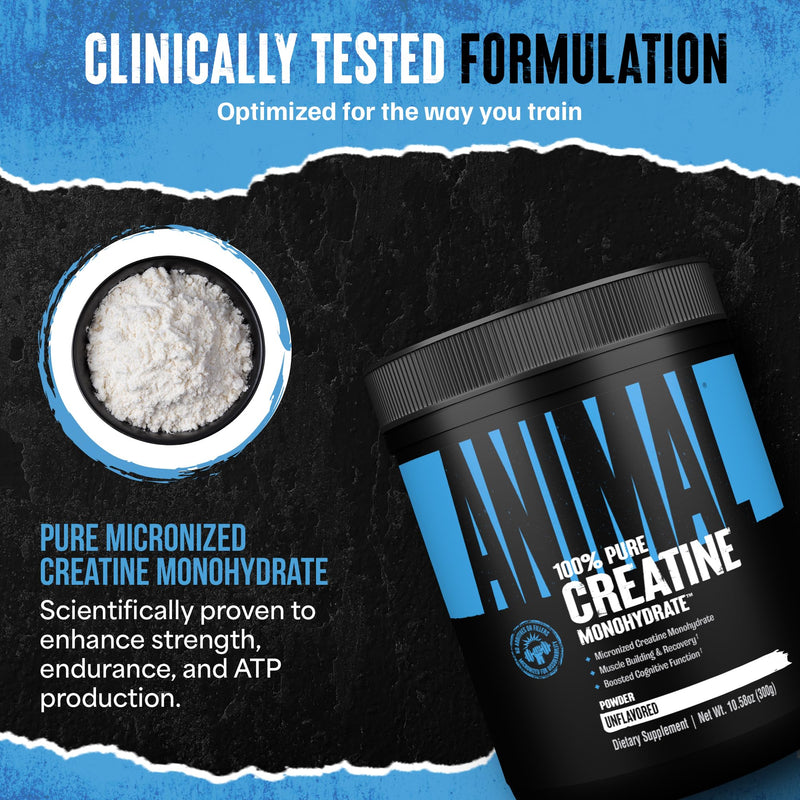 [Australia] - Animal Creatine Monohydrate Powder ‚Äì Micronized Creatine for Women and Men, Supports Muscle Growth, Strength, Endurance, Recovery and ATP Production, Gym & Workout Supplements - Unflavored, 300g 300g (Pack of 1) 