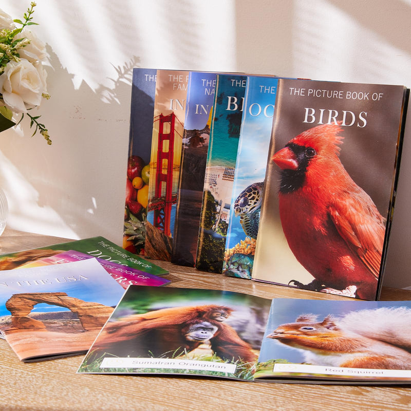 [Australia] - 6 Pack Picture Book Set for Seniors with Dementia, Activities for Elderly Seniors, Provide Products for Alzheimer's Patients and Adults, Brain Exercise, Increased Communication 6 Pack 