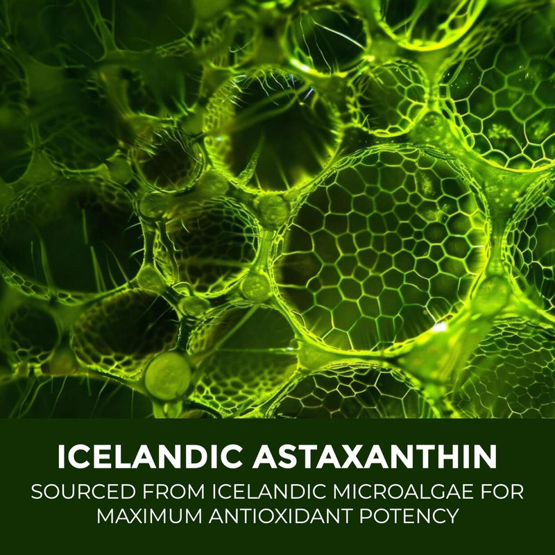 [Australia] - SUPER SUPPLEMENTS Astaxanthin 12mg, 60 Capsules, 2 Month Supply | Premium Astaxanthin Antioxidant | Fresh Microalgae Source | Supports Eye, Joint, Internal Circulation, Skin Health & Natural Tanning 
