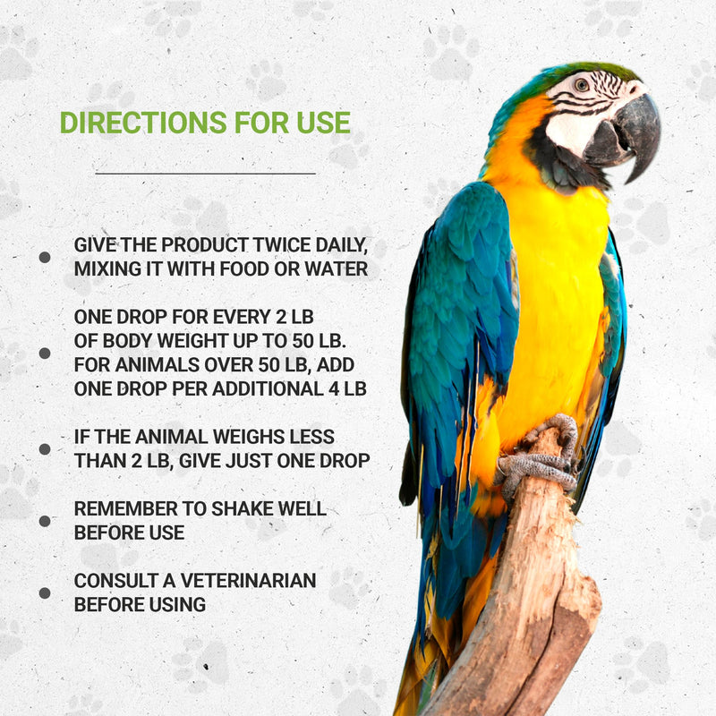 Birds Respiratory | Natural Herbal Dietary Pet Supplement for Birds | Healthy Respiratory System Support in Birds | Alcohol-Free Extract, Peppermint, Marshmallow, Calendula, Turmeric, Thyme 2 oz - PawsPlanet Australia