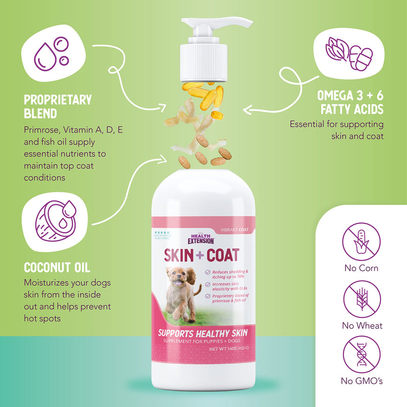 Health Extension Skin & Coat Supplement for Dogs & Puppies, 16oz - Omega 3 & 6 Rich Formula for Healthy Skin & Shiny Coat, Reduces Shedding & Itching - PawsPlanet Australia