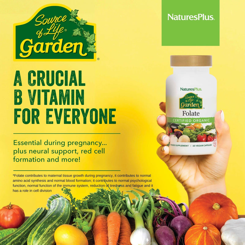 Source of Life Garden Organic Folate Capsules - 400 mcg Methylfolate and Other Plant Based Folates Extracted from Lemon Peel - Vegan, Gluten Free - 60 Capsules 60 count (Pack of 1)