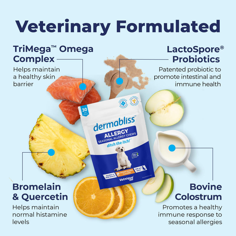 Vetnique Dermabliss Allergy Chews 30ct and Dermabliss Anti Itch Dog Shampoo Hickory Salmon Soft Chew Supplement Dog Allergy Shampoo - PawsPlanet Australia