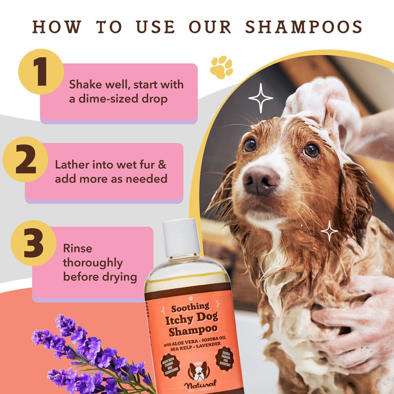 Natural Dog Company Itchy Dog Shampoo (12 oz) Bundle with Wild Alaskan Salmon Oil (16 oz) | Hypoallergenic Shampoo and Sensitive Skin Supplement | Soothing Relief for Recurring Skin Conditions - PawsPlanet Australia