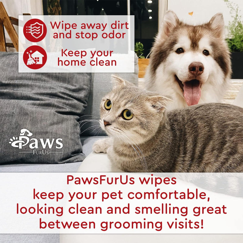 PawsFurUs® All-Natural Pet Wipes for Dogs & Cats - Doctor-Formulated for Total Pet Care with Antifungal & Antibacterial Protection, pH Balancing, Moisturizing, Deodorizing & Fast Itch Relief - 72ct. - PawsPlanet Australia