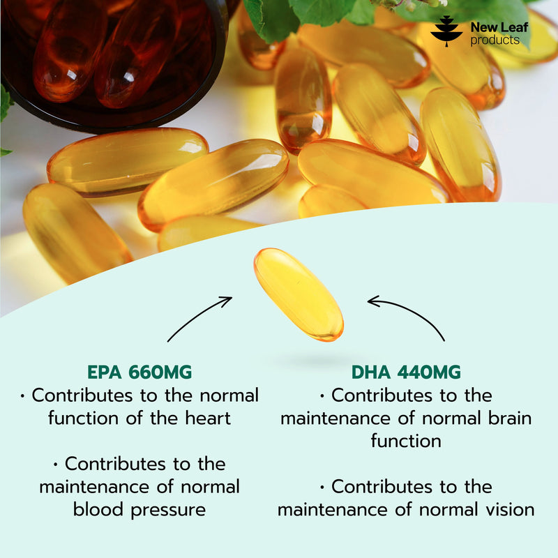 Omega 3 Softgels 660mg EPA & 440mg DHA High Strength 2000mg - 180 Softgel Omega 3 Fish Oil Capsules for 3 Months of Supply, Fish Oil Omega 3 Supplements 180 count (Pack of 1)