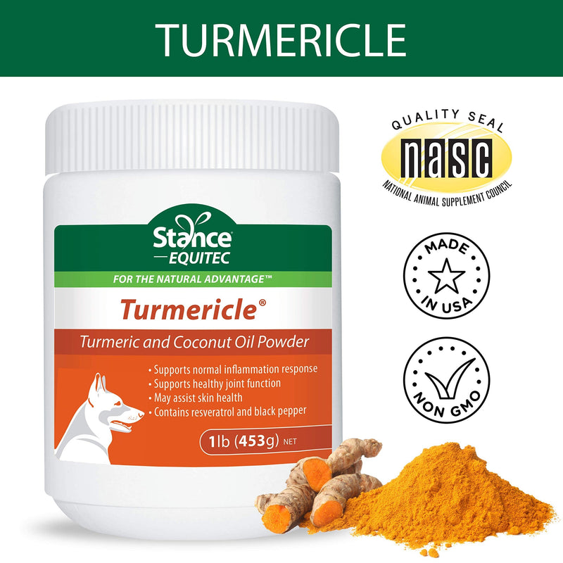 Natural Turmeric Powder for Dogs with Powdered Coconut Oil - Turmericle Anti-Inflamatory Dog Supplement for Healthy Hip & Joint Function - Normal Skin Health (1 Pack) 1 pack - PawsPlanet Australia