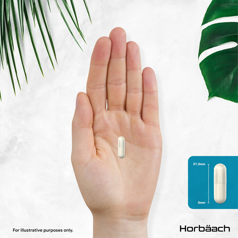 Nootropic Brain Supplements | 180 Vegan Capsules | Cognitive Complex Enhancer for Energy, Focus & Mental Performance | by Horbaach