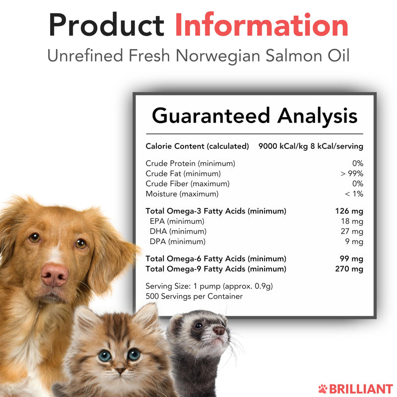 Salmon Oil for Dogs - Healthy Skin & Coat, Natural Norwegian Omega 3 Fish Oil Food Supplement, EPA & DHA Fatty Acids, Ideal for Shedding, Allergy, Itching, Dry Skin, Joint & Bone Health - (2 x 16.9oz) 16.9 oz (Pack of 2) - PawsPlanet Australia