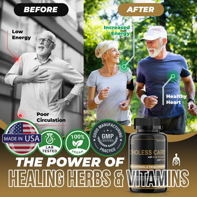 [Australia] - Cholesterol Supplement - Triglycerides Support Capsules w. Organic, Odorless Garlic, Cayenne Pepper, Plant Sterols to Support Normal HDL and LDL Cholesterol Levels w. Antioxidant Niacin (Vitamin B3) 