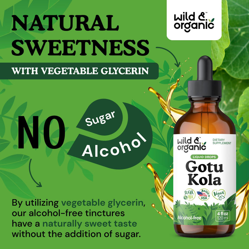 [Australia] - Wild & Organic Gotu Kola Extract Drops - Brain Support with Centella Asiatica Extract - Liquid Gotu Kola Supplement for Focus - Vegan, Sugar & Alcohol-Free Herb Tincture - 4 fl oz 4 Fl Oz (Pack of 1) 