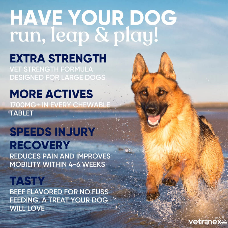 Joint Support Supplement for Large Dogs - Hip and Joint Chewable Tablets for Small, Medium & Large Breed Dogs with Glucosamine, Chondroitin, and MSM, Beef Flavor, 120 Tablets Medium/Large Dogs (More than 45 lbs) - PawsPlanet Australia