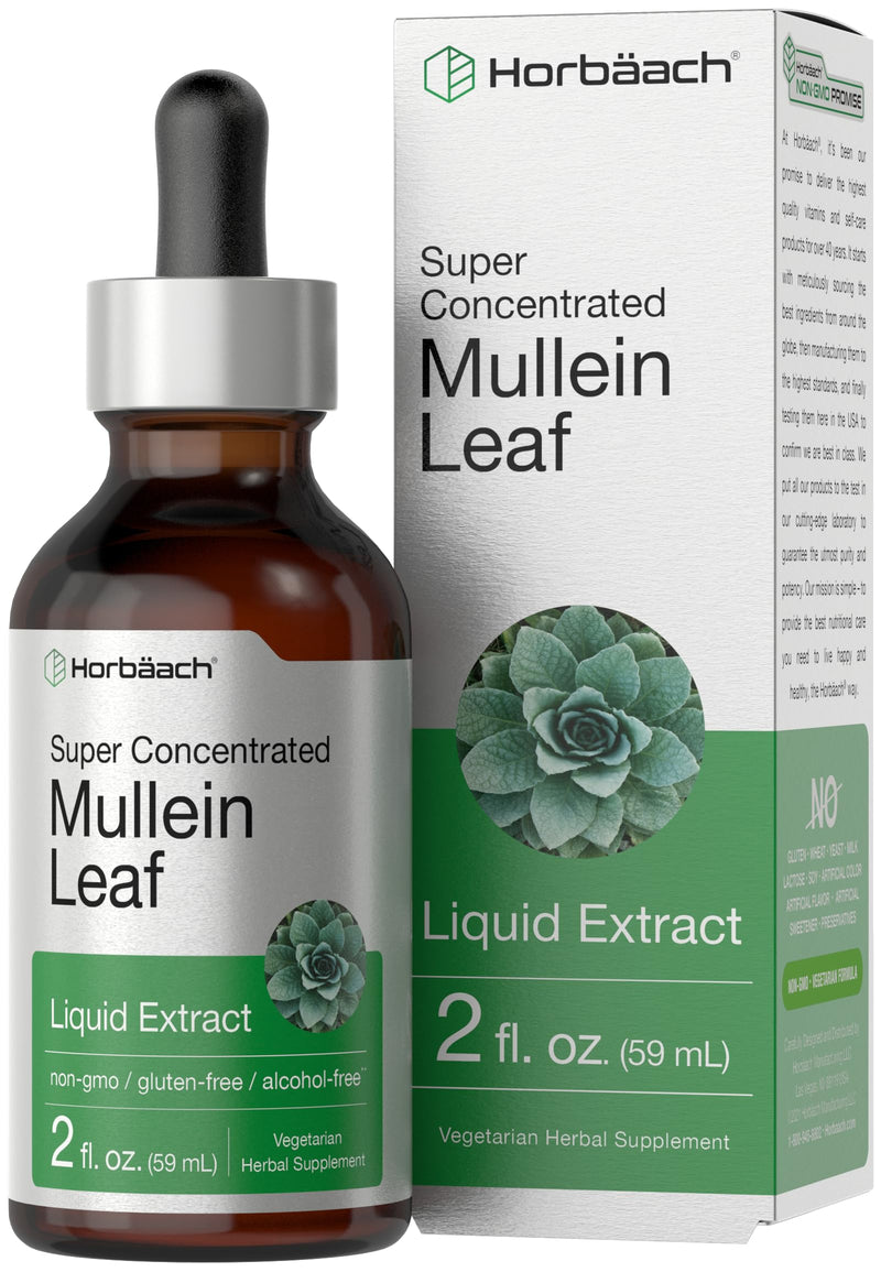 [Australia] - Horb√§ach Mullein Leaf Extract Drops | 2 fl oz | Alcohol Free Liquid Tincture | Vegetarian, Non-GMO & Gluten Free Herbal Supplement 