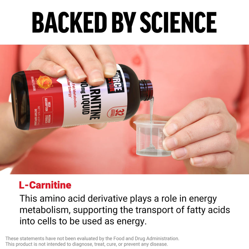 [Australia] - Force Factor L-Carnitine Liquid 3000mg, Maximum Strength Supplement to Support Fat Metabolism, Cellular Energy & Muscle Recovery, High Absorbing, Non-GMO, Orange Flavor, 16 oz Bottle 