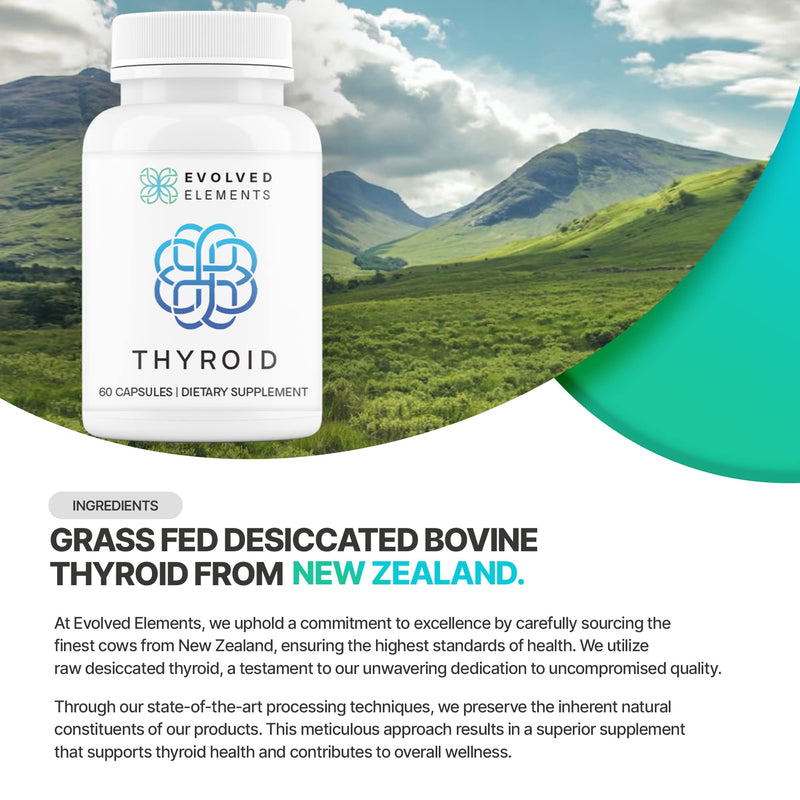 Raw Grass-Fed Desiccated Bovine Thyroid - Thyroid Support for Women - Energy & Metabolism Support - New Zealand Sourced, Non-GMO, 60 Capsules