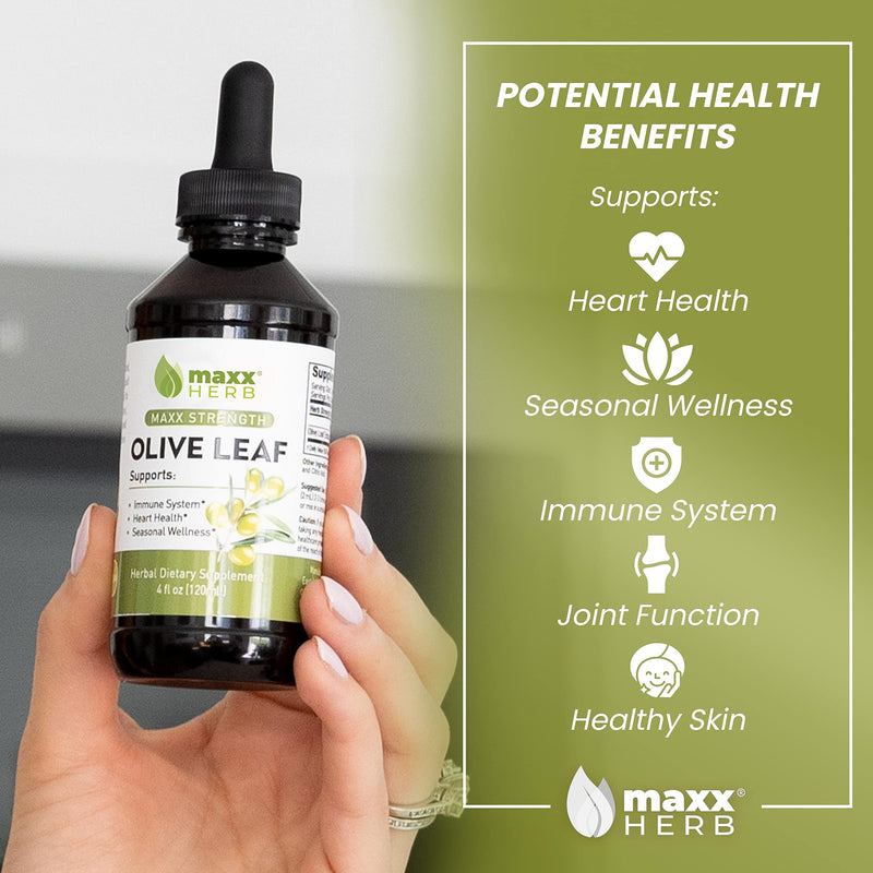 [Australia] - Maxx Herb Olive Leaf Extract – Max Strength Oleuropein Liquid Absorbs Better Than Capsules or Tea, for Immune Support, Heart Health, and Seasonal Wellness - 4 Oz Bottle (60 Servings) 4 Fl Oz (Pack of 1) 