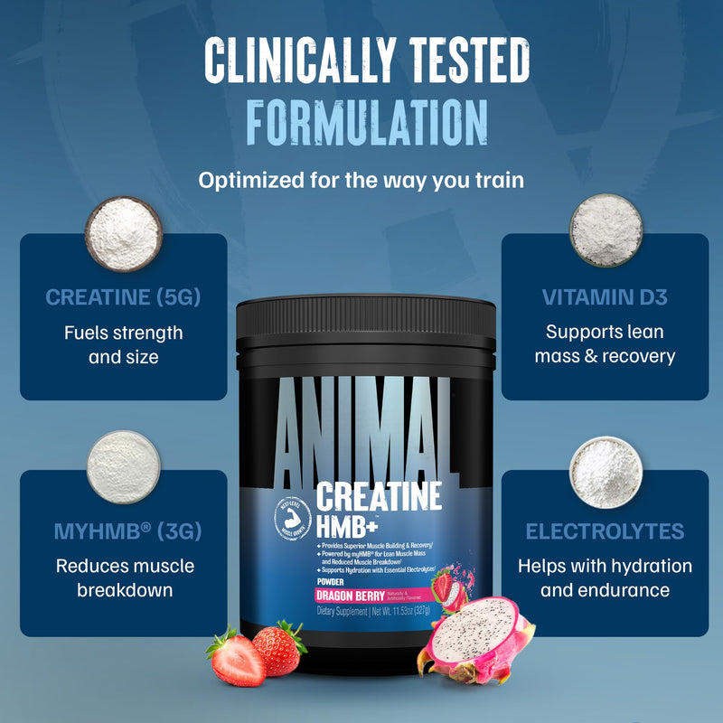Animal Creatine HMB Powder – 3g myHMB + 5g Creatine with Electrolytes for Recovery & Daily Energy – Dragon Berry Flavor, 30 Servings