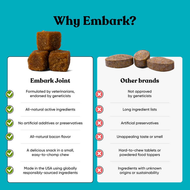 Embark Joint Supplement for Dogs – Glucosamine, Chondroitin, Hip and Joint Supplement, Supports Joint Health– Vet-Formulated with All-Natural Ingredients – 90 Soft Chews for Small and Large Breed Dogs - PawsPlanet Australia