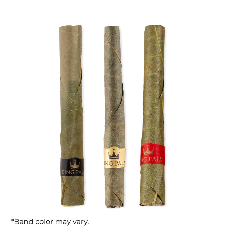 [Australia] - King Palm Flavors Mini Size Cones - 1 Pack, 2 Rolls Terpene Infused - Squeeze & Pop Pre Rolls - Organic Flavored Pre Rolled Cones - King Palm Flavors Cones (COMBO PACK - 1 OF EACH FLAVOR) COMBO PACK - 1 OF EACH FLAVOR 