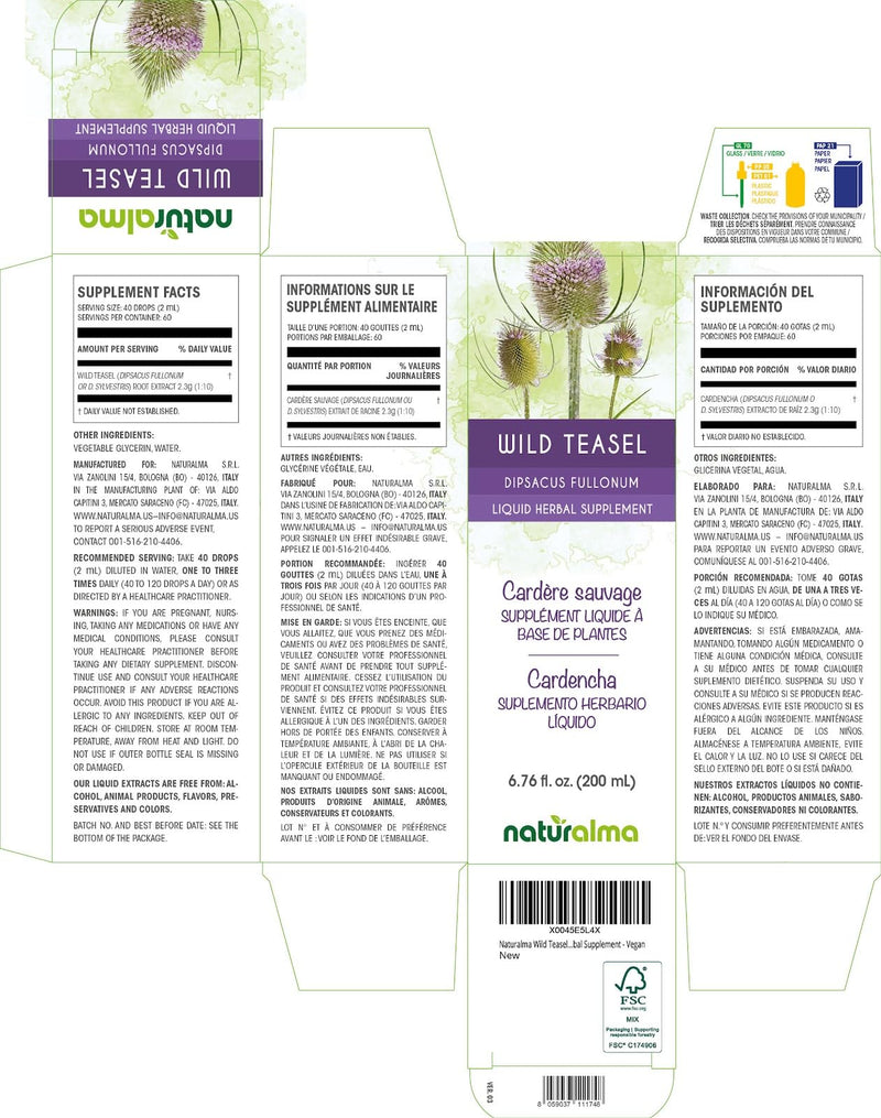 Naturalma Wild Teasel or Fuller's Teasel (Dipsacus fullonum or D. sylvestris) Root Alcohol-Free Tincture - 6.76 fl oz Liquid Extract in Drops - Herbal Supplement - Vegan 6.76 Fl Oz (Pack of 1)