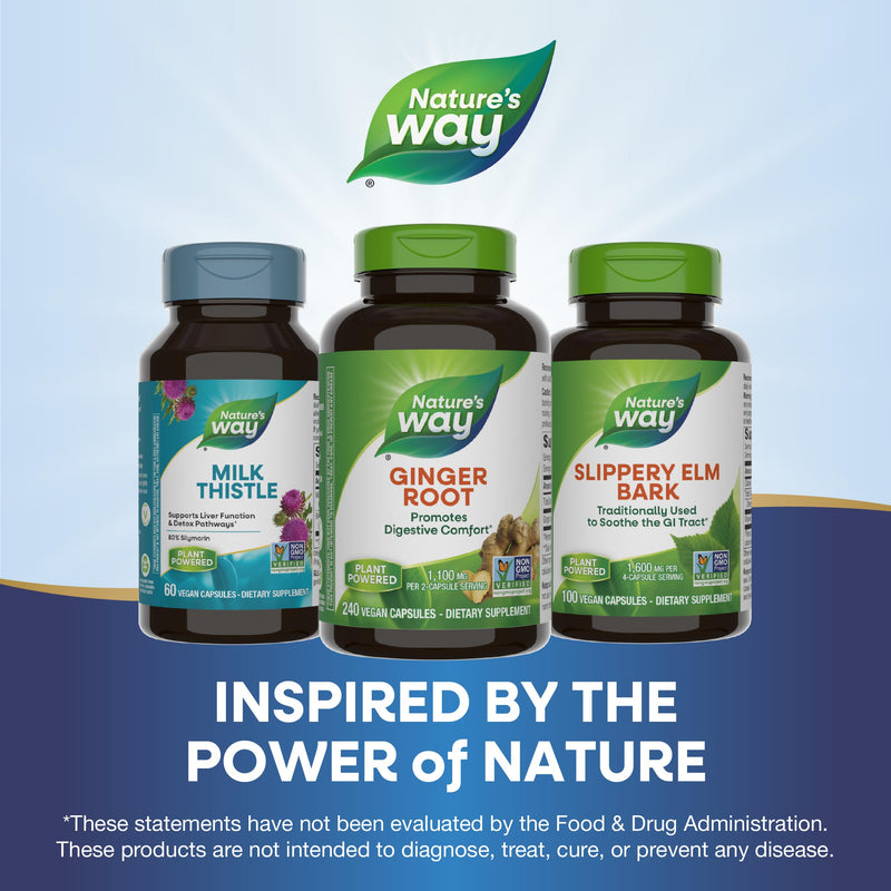 [Australia] - Nature's Way Ginger Root, Promotes Digestive Comfort*, 1,100 mg Per 2-capsule Serving, Non-GMO Project Verified, Vegan, 240 Capsules (Packaging May Vary) 240 Count (Pack of 1) Herbal Supplement 