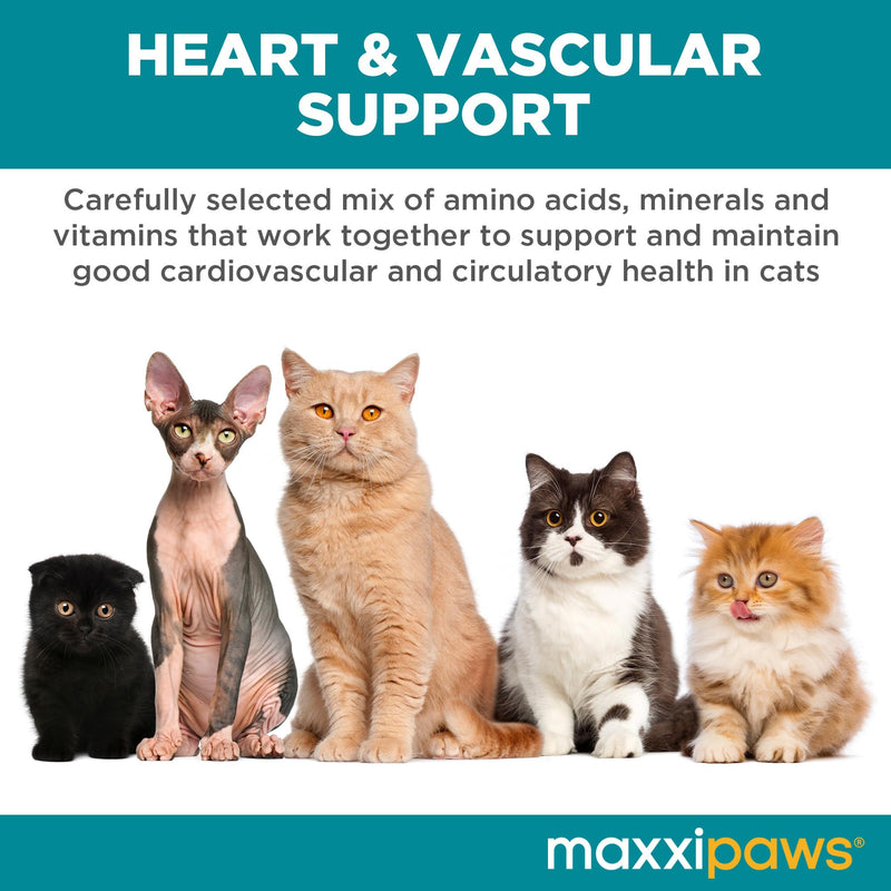 maxxicardio Heart & Cardiovascular Powder Supplement for Cats, 3.2oz - PawsPlanet Australia