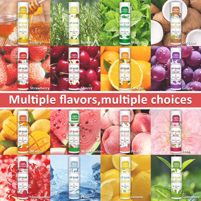 VISRIE 64 Pack Lip Balm Bulk, Natural, 16 Flavors | Infused with Vitamin E and Coconut Oil, Moisturizing Lip Balm for Dry Cracked Lips C-64P
