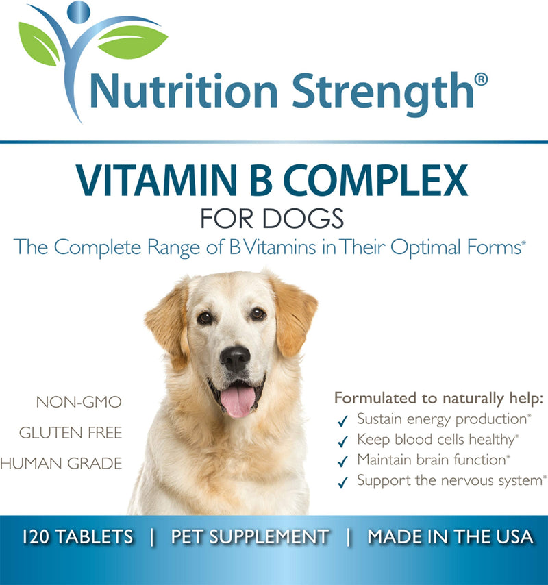 Vitamin B for Dogs, Complete B Complex for Dogs, Promote Blood Cell & Nervous System Health, Help Sustain Cellular Energy Production & Maintain Brain Function, 120 Chewable Tablets - PawsPlanet Australia