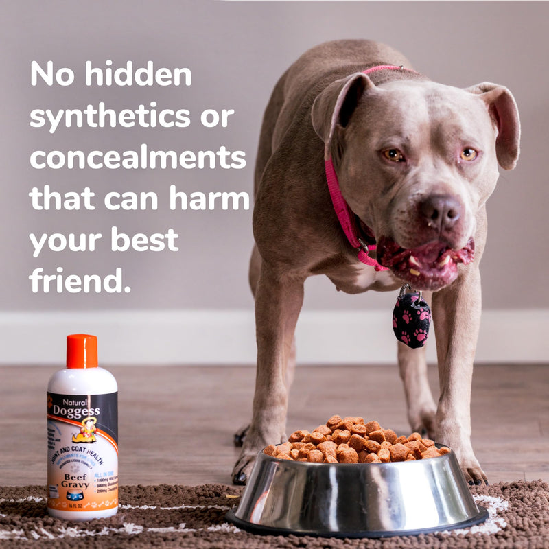Dressing Best Hip and Joint Supplement for Dogs, Glucosamine & Chondroitin/Joint Health/Salmon Oil for Dogs Skin and Coat Health, Delicious Beef Gravy Flavor - 16 Oz Pack of 1 16 ounce Liquid Beef Gravy Supplement - PawsPlanet Australia
