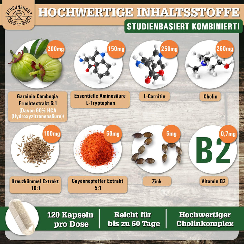 [Australia] - SPEEDBRN® -metabolism formula- IMPORTANT: Laboratory-tested treatment with choline, L-carnitine, garcinia cambogia, L-tryptophan, zinc and more I 120 capsules high dose -DE- SCHEUNENGUT® 