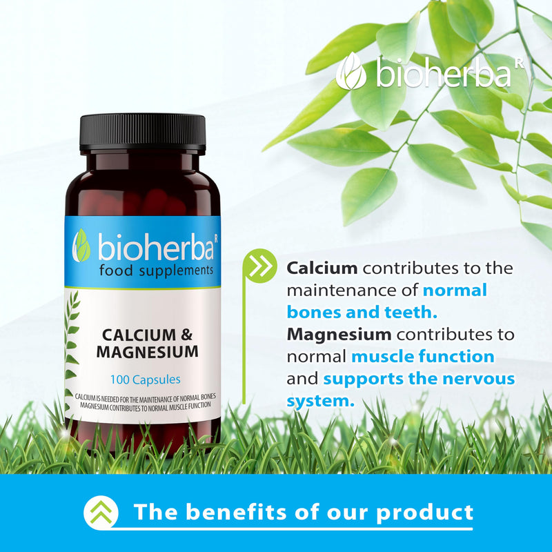 Calcium & Magnesium – 100 Capsules | Bone, Teeth and Muscle Support Formula by BIOHERBA 1 count (Pack of 100)