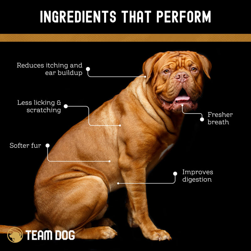 TEAM DOG Probiotic Chews for Dogs | Digestive Enzymes & Dog Probiotics for Yeast, Itchy Skin and Itchy Ears | for Allergies & Sensitive Stomachs | Promotes Digestive & Gut Health for Dogs | 120 Count - PawsPlanet Australia
