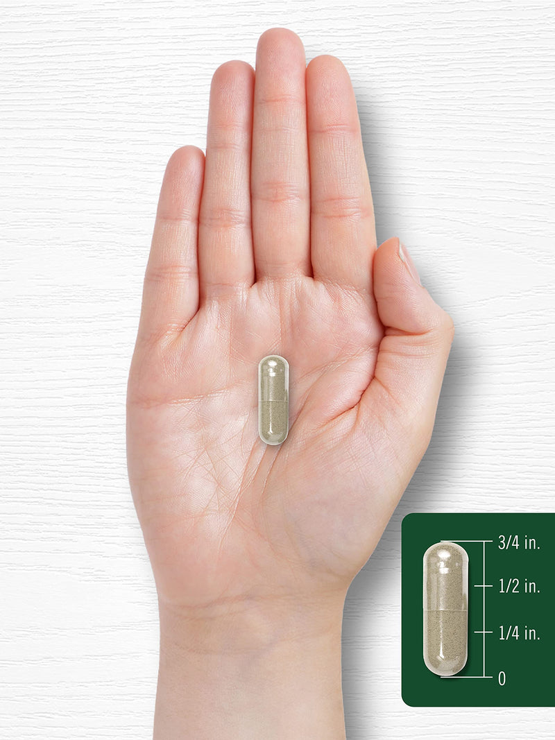[Australia] - Carlyle Turkey Tail Mushroom Capsules | 1200mg | 200 Count | Non-GMO & Gluten Free Extract 