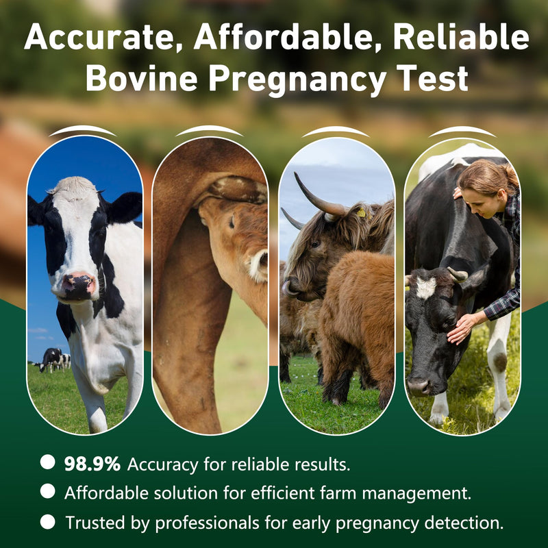 Bovine Pregnancy Test Kit - Includes 2 Tests, Rapid Results in 5-20 Minutes for Dairy & Beef Cows, Whole Blood, Serum & Plasma-Based Tests