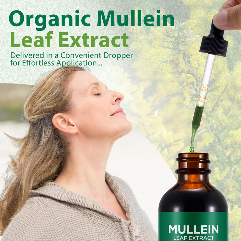 2 Pack Mullein Drops for Lungs, Mullein Leaf Extract Supplement, Natural Mullein Herbal Supplements, Mullein Leaf Extract for Lung Cleanse and Respiratory Support 60 ml (Pack of 2)