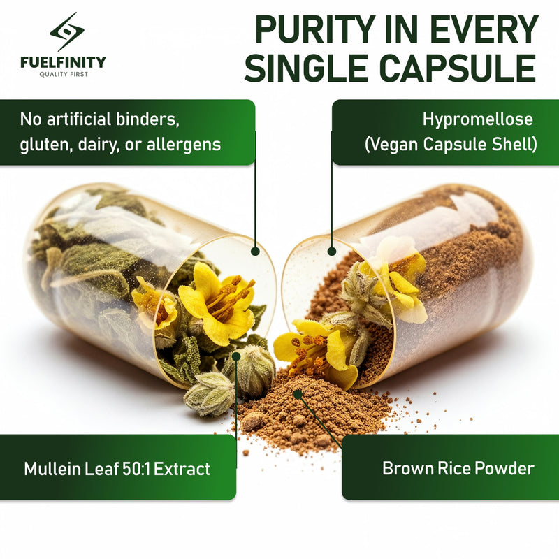 Mullein Leaf Extract for Lungs - 10,000 mg – Lung Cleanse & Lung Detox for Smokers – 120 Capsules - High Strength Respiratory Support - FuelFinity® - Vegan 1 Large Pack