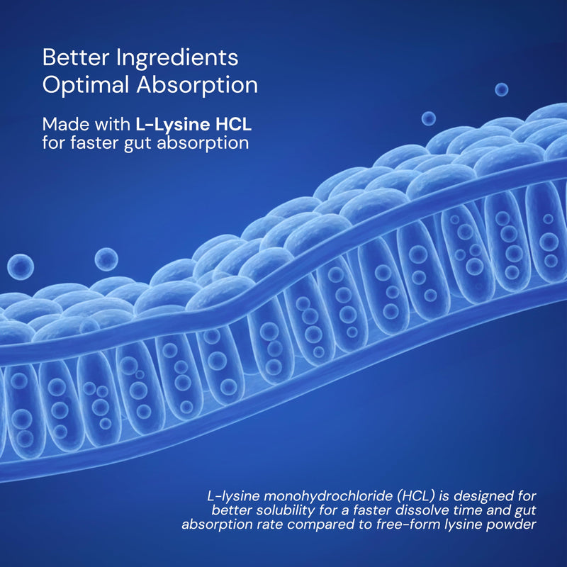 Herstat L-Lysine & Propolis Supplements Parent (Herstat L-Lysine 1,500mg Pouch (Capsule))