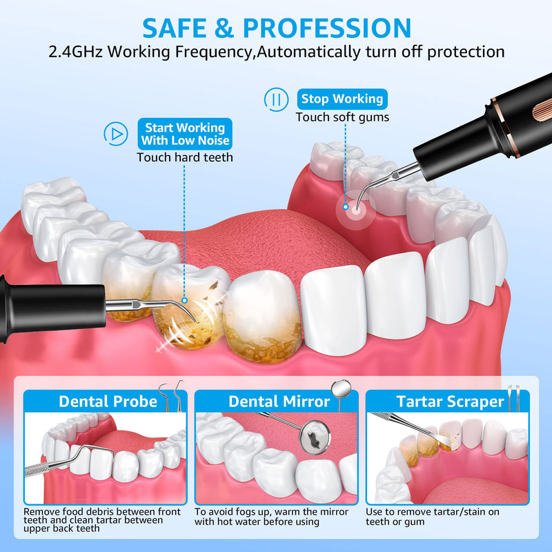Plaque Remover for Teeth, Teeth Cleaning Kit with Ultrasonic Tooth Cleaner and Dental Tools, Dental Picks for Teeth Cleaning and Rechargeable Plaque Blaster with LED, Tartar Remover, 4 Heads Matte Black