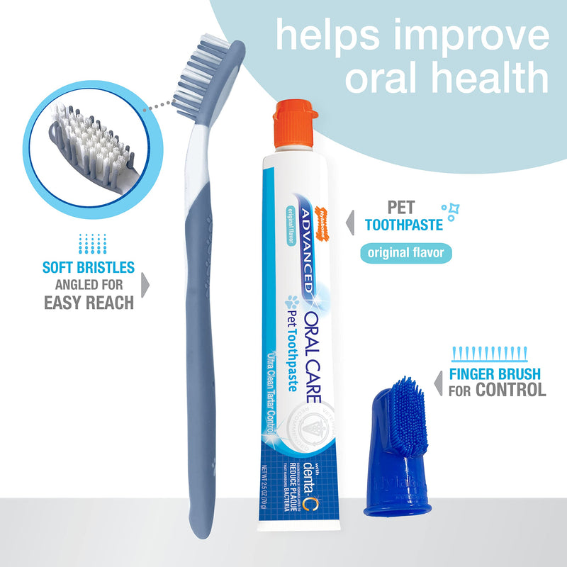 [Australia] - Nylabone Advanced Oral Care Dog Dental Kit Original Flavor 2.5 oz. 