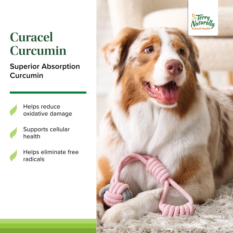 [Australia] - Terry Naturally Curacel Curcumin - Health Supplement for Dogs - Pet Curcumin Dog Supplies - Cellular Health Supplement with Antioxidants - 60 Softgels Standard Packaging 