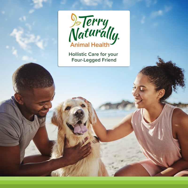 [Australia] - Terry Naturally Curacel Curcumin - Health Supplement for Dogs - Pet Curcumin Dog Supplies - Cellular Health Supplement with Antioxidants - 60 Softgels Standard Packaging 