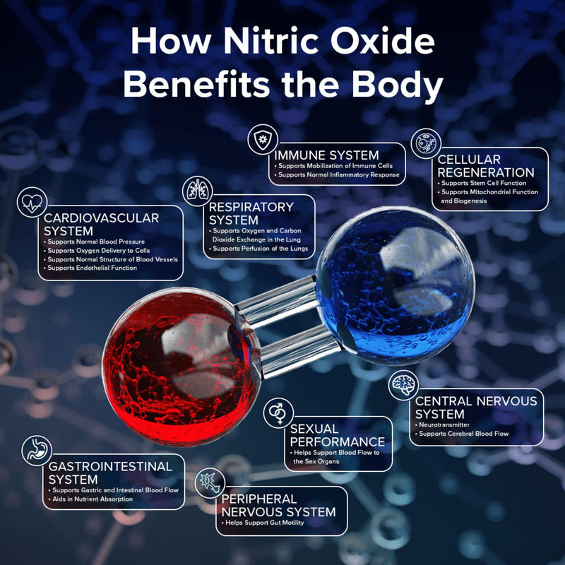 [Australia] - Bryan NITRICEUTICALS - Natural Nitric Oxide Supplements for Men & Women - Promotes Blood Circulation, Oxygen & Nutrient Delivery, Daily Wellness Support - No Gluten or Dairy - 60 Vegan Lozenges 