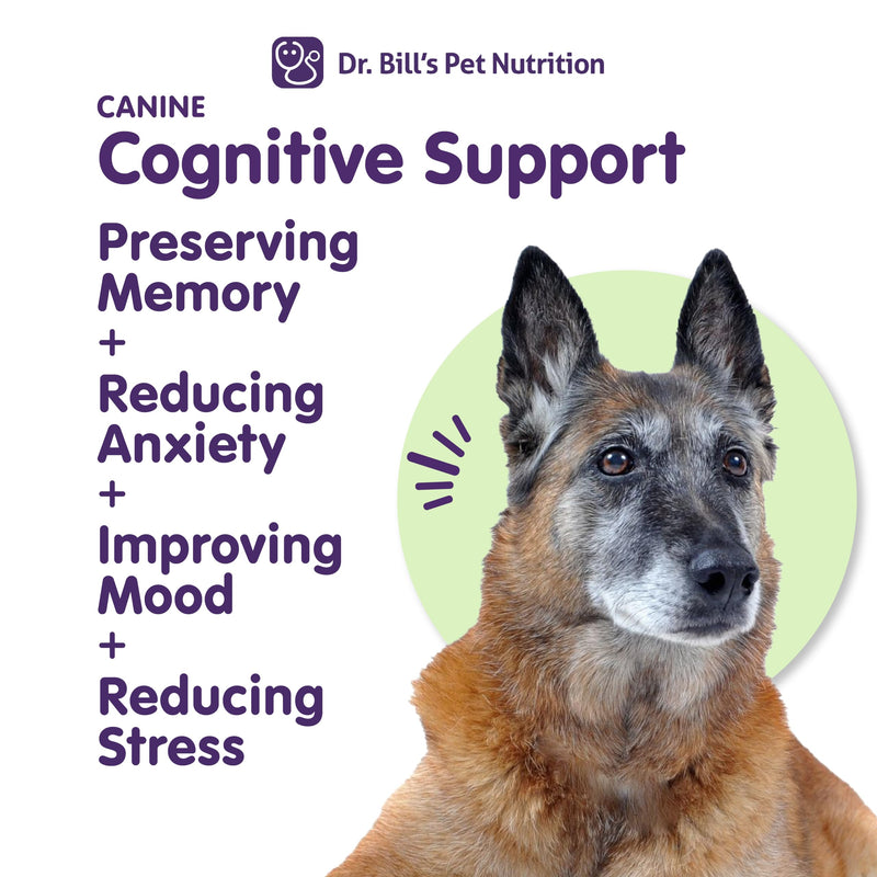 Dr. Bill’s Canine Cognitive Support | Memory Support Supplement Multivitamin for Dogs | Contains Gingko Biloba, L-Carnosine, Vitamin B-12, L-Glutamine, L-Tyrosine, and DHA for Adult and Senior Dog - PawsPlanet Australia