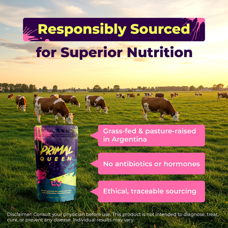 Primal Queen Beef Organ Superfood, Grass-Fed Liver Kidney Heart for Women | Female-Optimized Blend of 6 Pasture-Raised Organs for Hormone Balance, Energy and Vitality; 3rd-Party Tested 60 Count (Pack of 1)