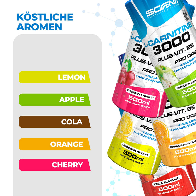 [Australia] - L Carnitine Liquid - L Carnitine 3000 - L-Carnitine Liquid - L-Carnitine High Dose - L Carnitine 3000 mg (500 ml) (Apple) Apple 