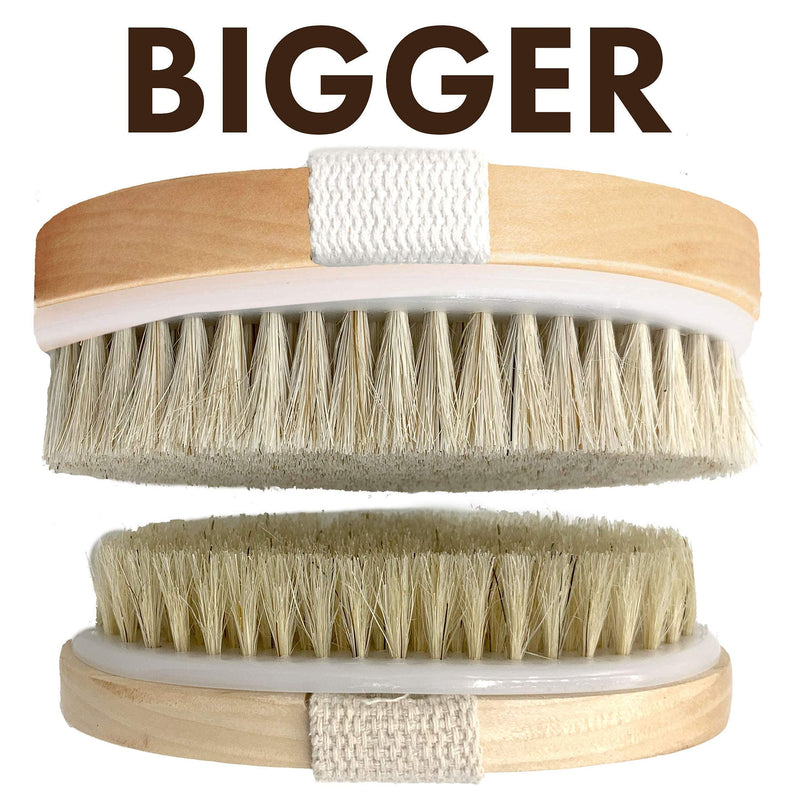 Dry Brushing Body Brush SCALA Natural Bristle Body Brush, Soft Body Exfoliating Brush Scrub for Dead Skin, Cellulite, Lymphatic Drainage, Blood Flow – Thicker & Stronger Medium Strength E. Wooden