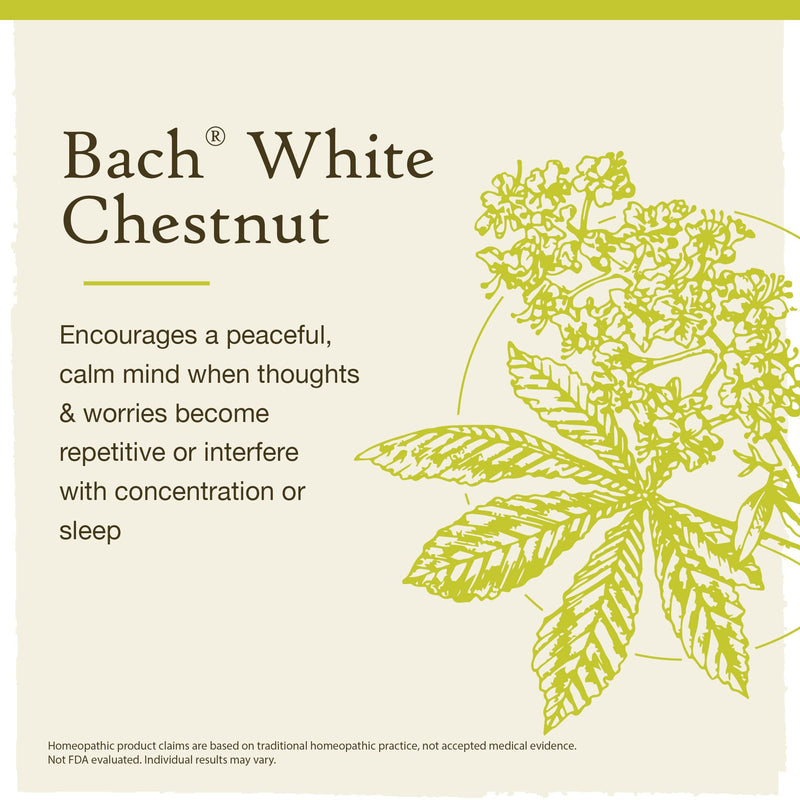 [Australia] - Bach Original Flower Remedies, White Chestnut for Calming Repetitive Thoughts (Non-Alcohol Formula), Natural Homeopathic Flower Essence, Holistic Wellness, Vegan, 10mL Dropper 