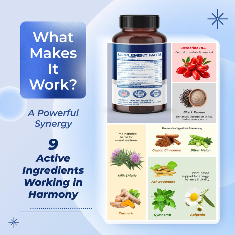 [Australia] - Premium Berberine Supplement with Ceylon Cinnamon, Bitter Melon, Milk Thistle - 150 Day Supply (150 Count (Pack of 1)) 